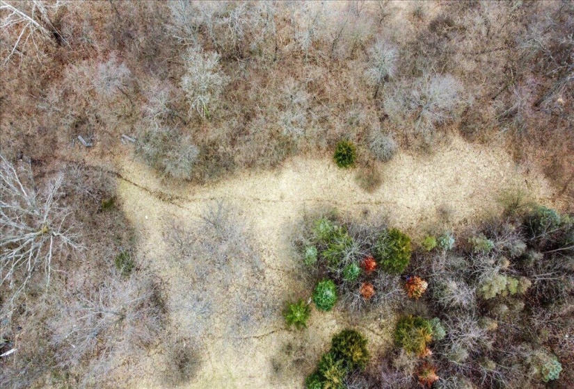 03-DJI_0096