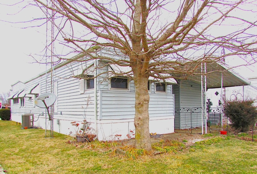 EXTERIOR BACK