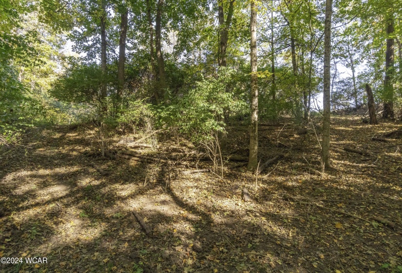 Court Street, Sidney, Ohio, ,Land,For Sale,Court,304285