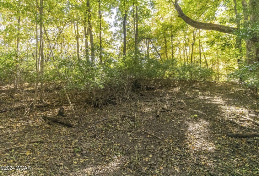 Court Street, Sidney, Ohio, ,Land,For Sale,Court,304285