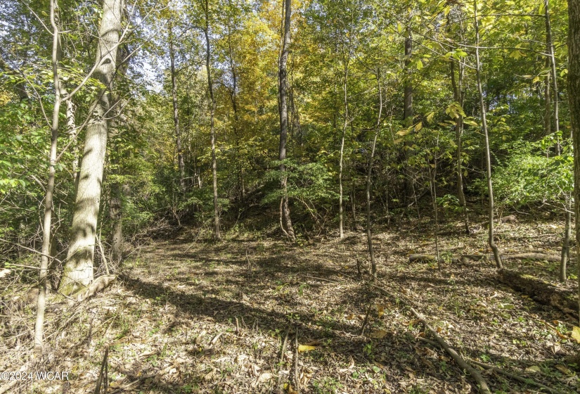 Court Street, Sidney, Ohio, ,Land,For Sale,Court,304285