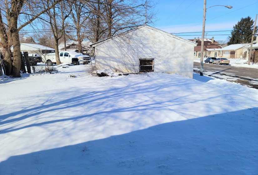 Back yard