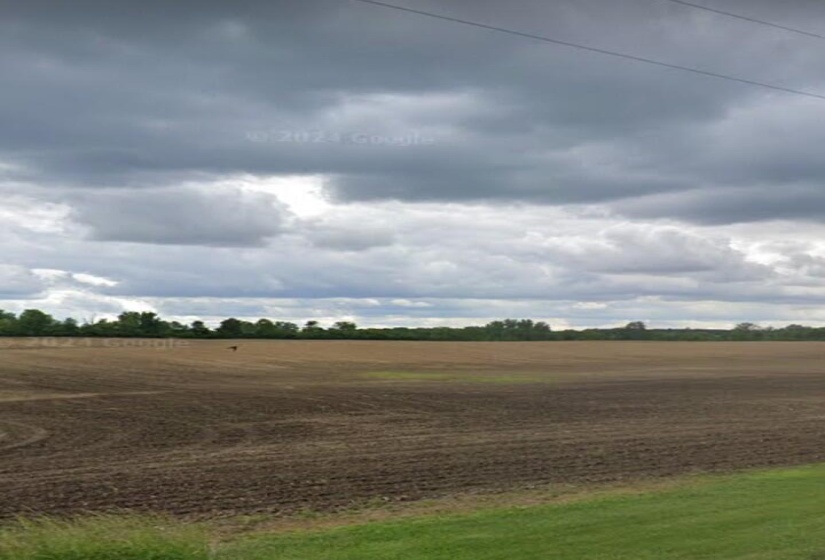31213_Image_4