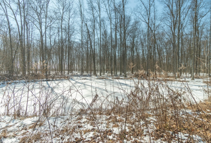 Logan County Property-18