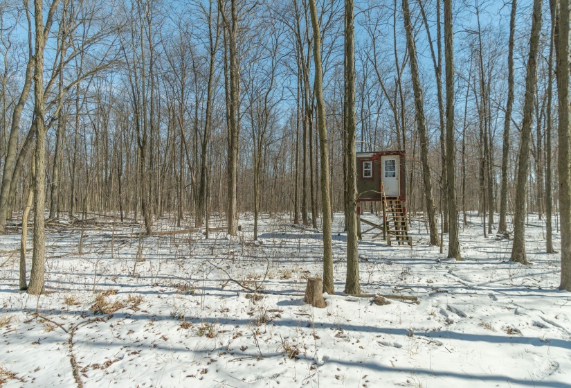 Logan County Property-22