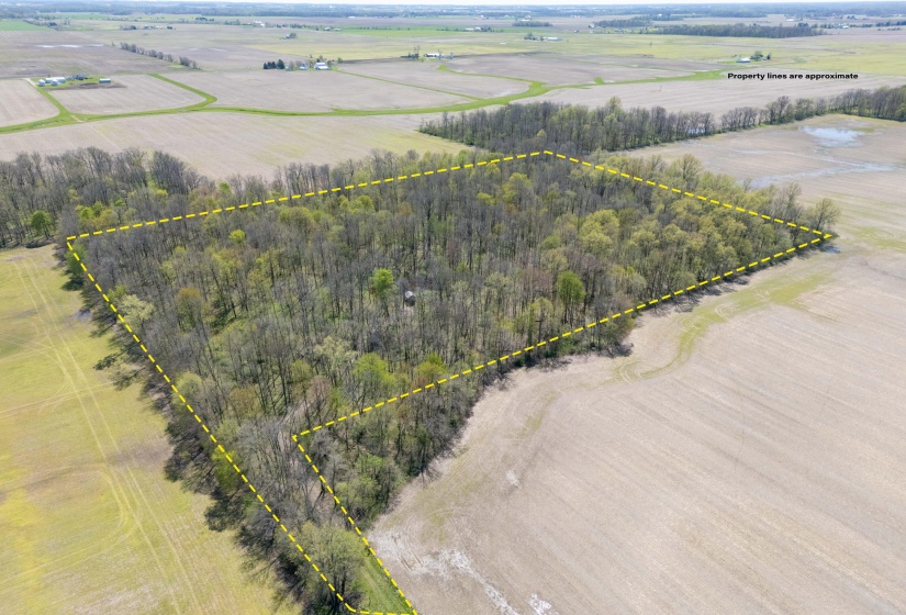 Logan County Property - 4.2025-1