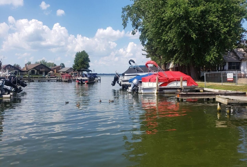 View in Front of Cottage