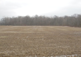0 C R 97, Belle Center, Ohio 43310, ,Land,For Sale,C R 97,1037147