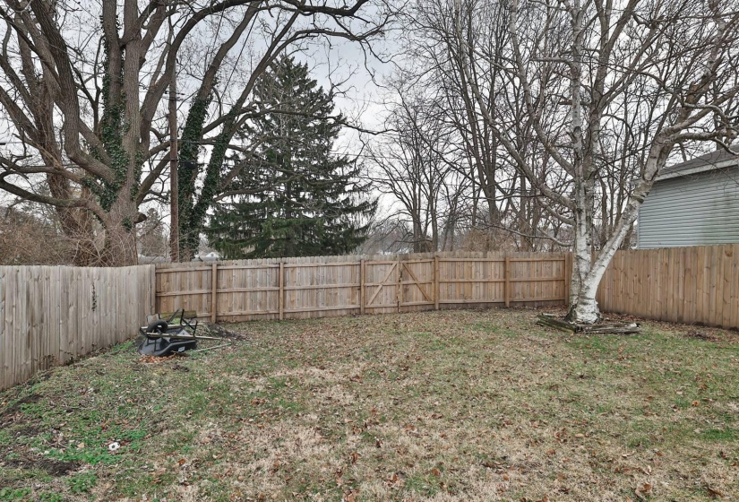 027-Yard-2