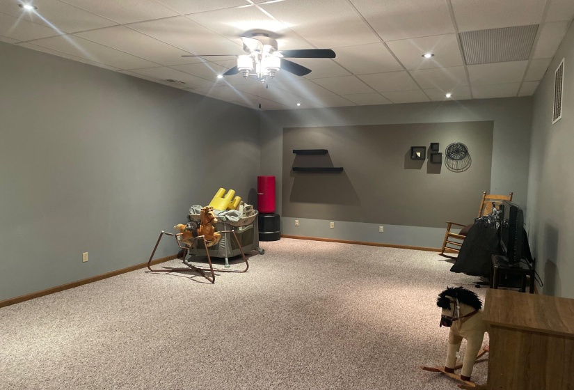 Finished Basement (3)