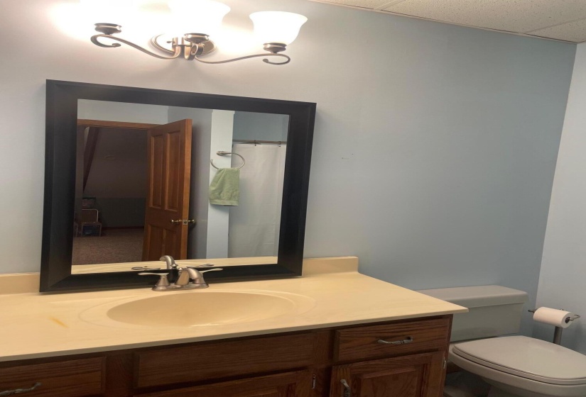 Finished Basement Bath (2)