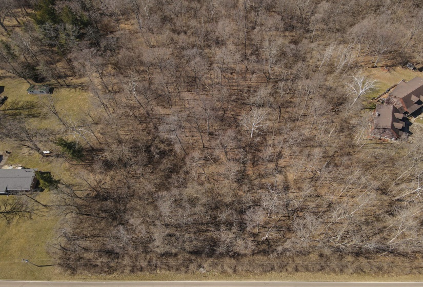 Bull Drone-7
