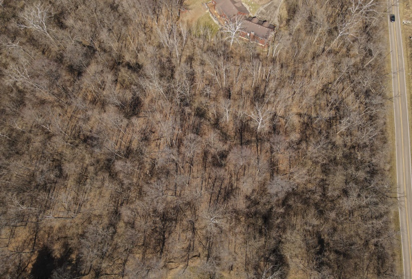 Bull Drone-9