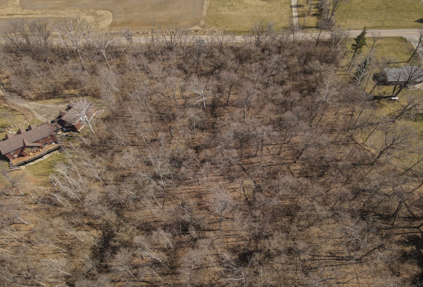 Bull Drone-6
