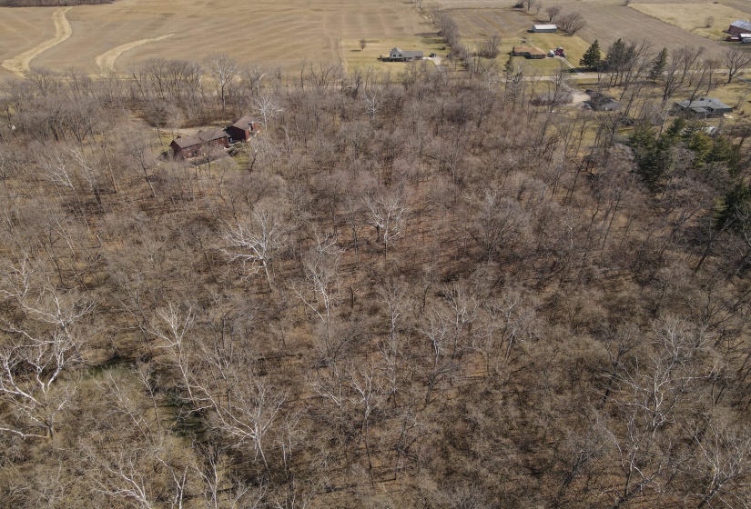 Bull Drone-4