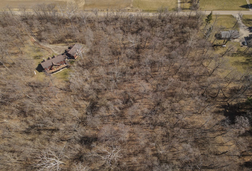 Bull Drone-5
