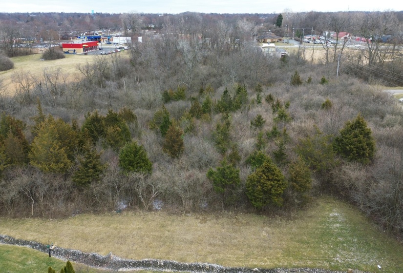 DJI_0946