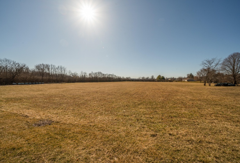 20250310-DSC01718