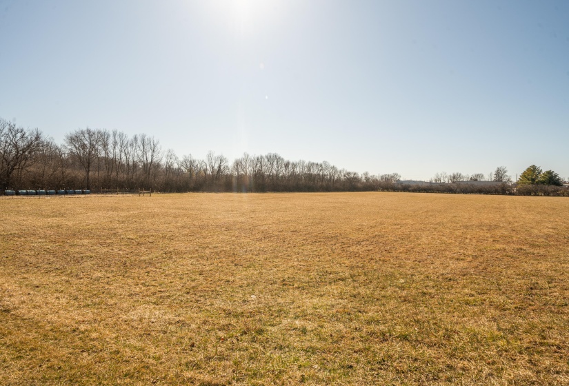 20250310-DSC01715