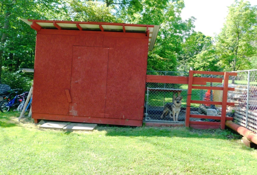 Storage/Dog Kennel