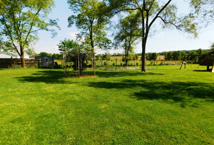 Rear Yard