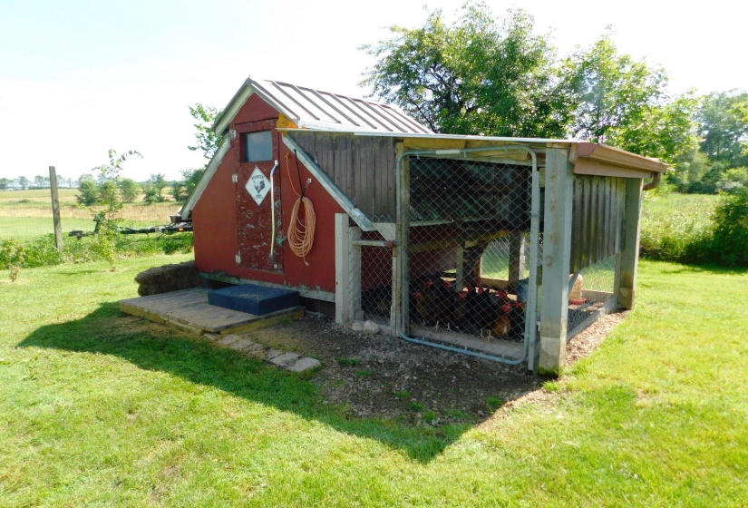 Chicken Coop and Hens