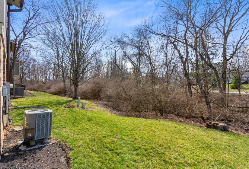25-web-or-mls-DSC09931
