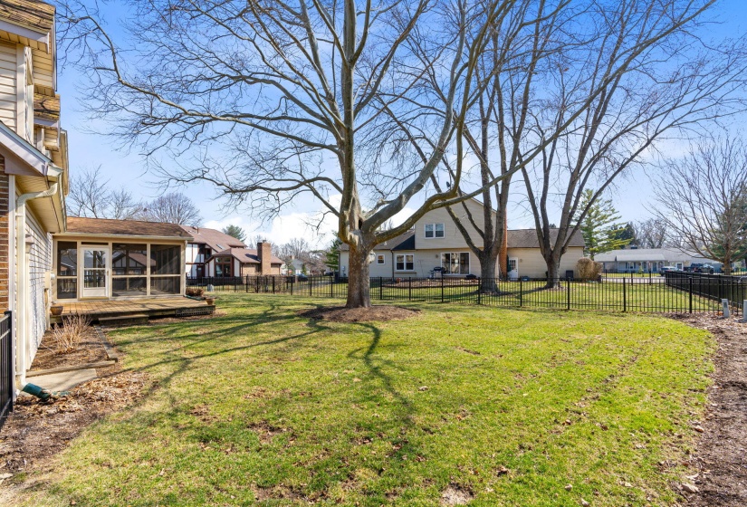 43-web-or-mls-DSC09519
