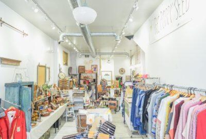 DSC01259-400x267