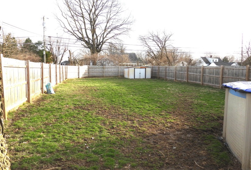 Back Yard