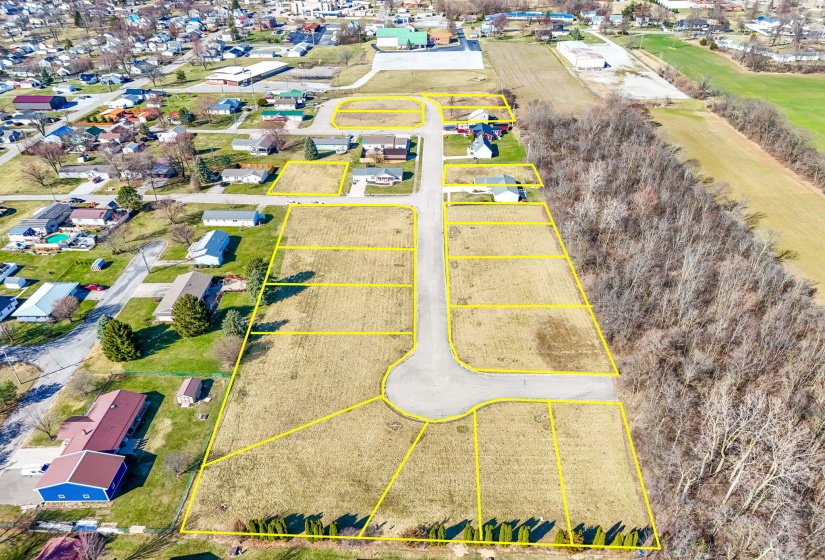 400 Moriah Dr (Drone)-5