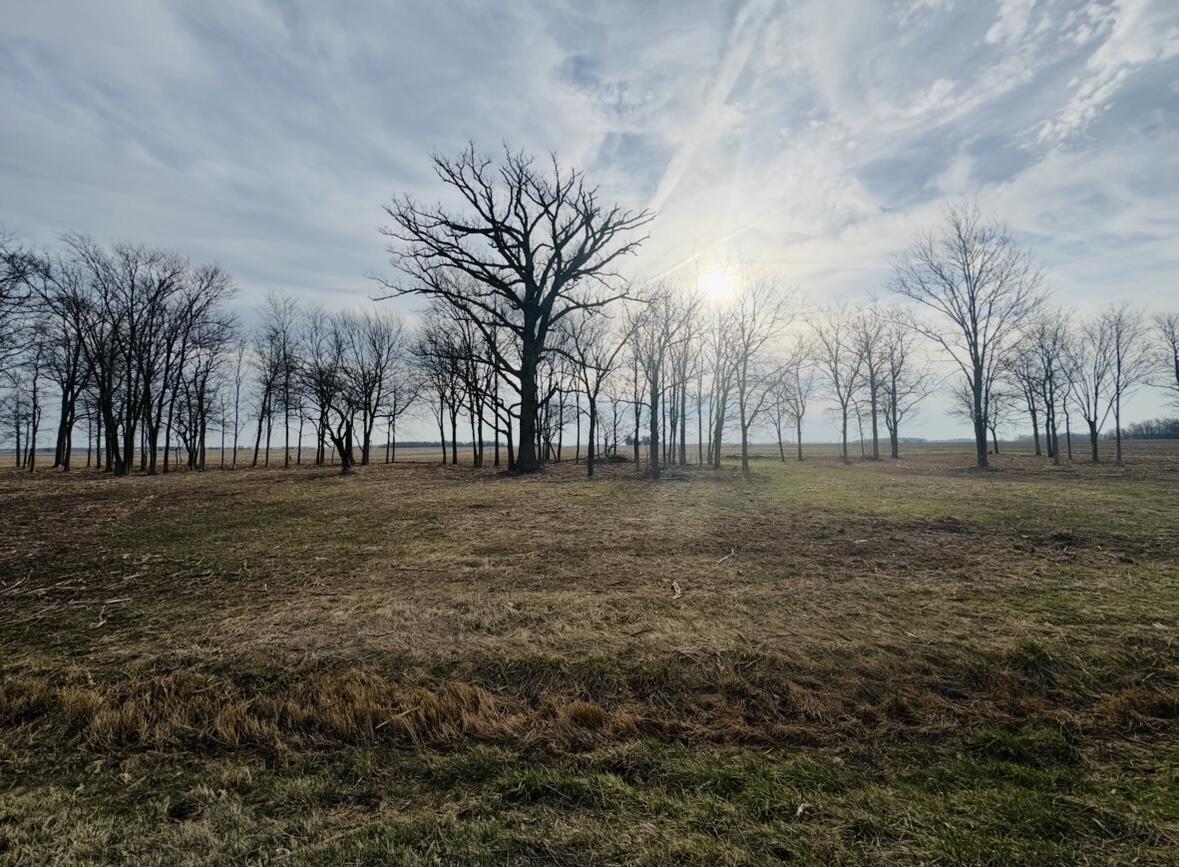 0 Purdy Road, Rockford, Ohio 45882