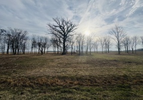 0 Purdy Road, Rockford, Ohio 45882, ,Land,For Sale,Purdy,1037528