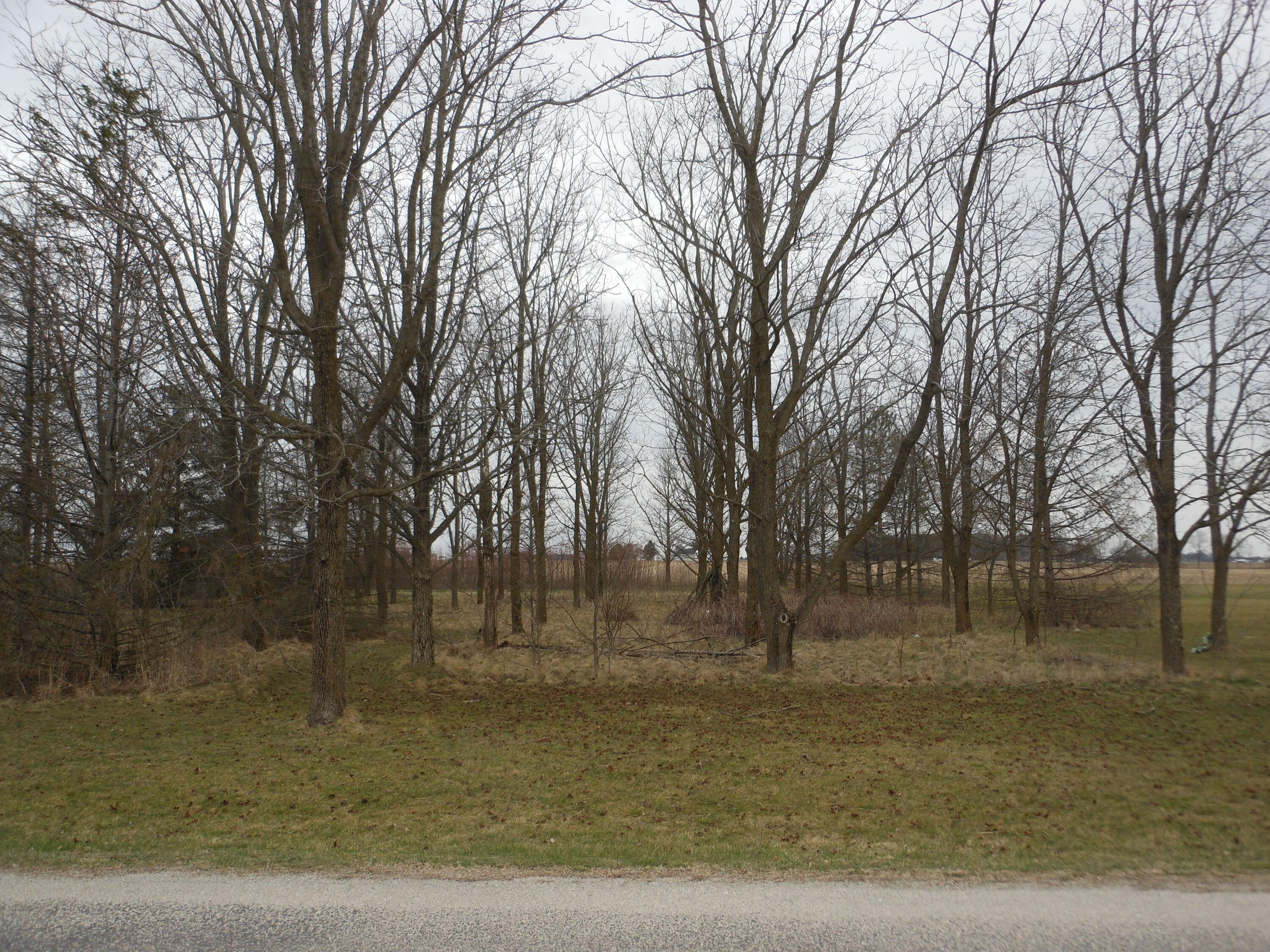 0 Furlong Road, Laura, Ohio 45337