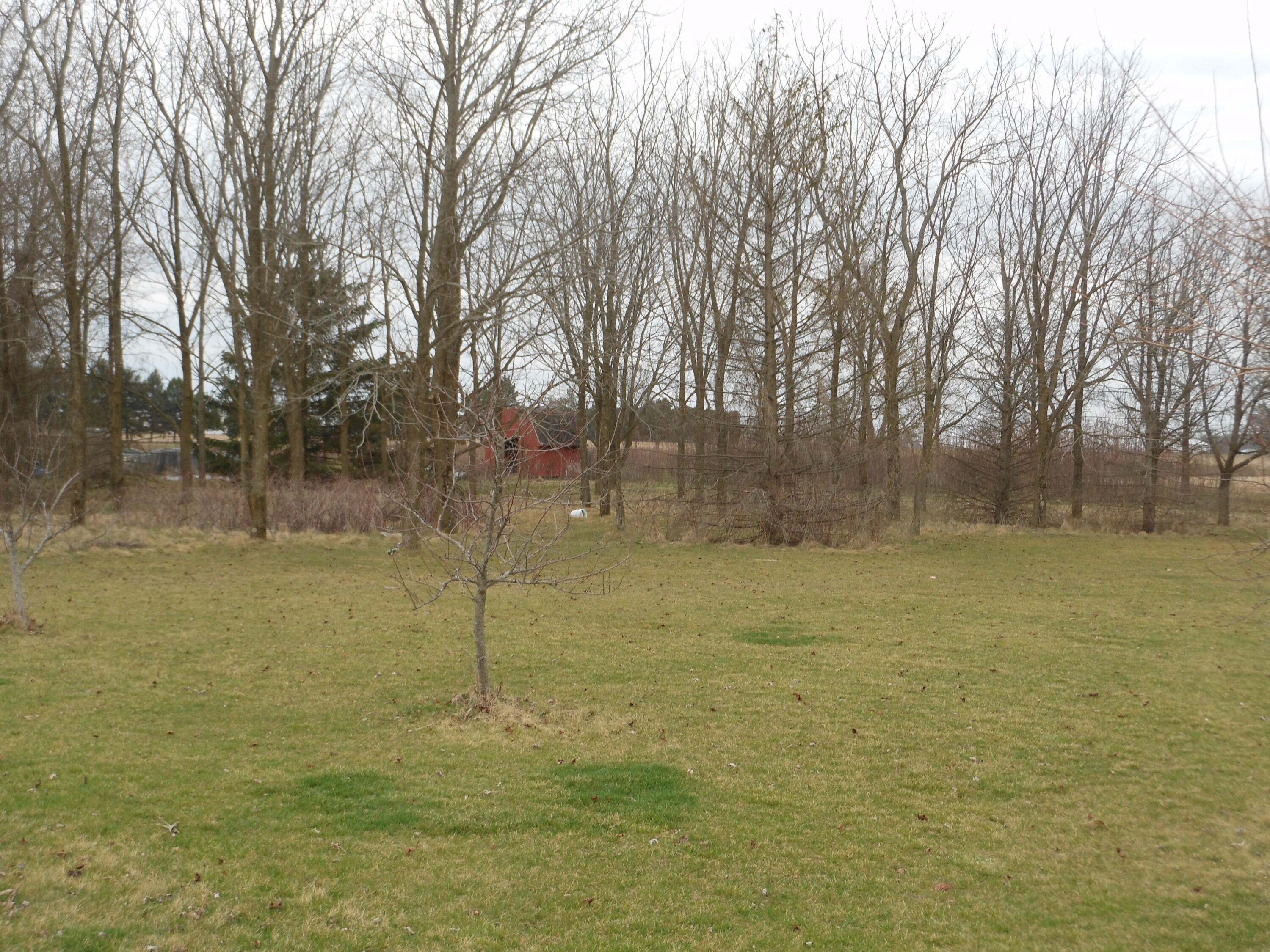 0 Furlong Road, Laura, Ohio 45337