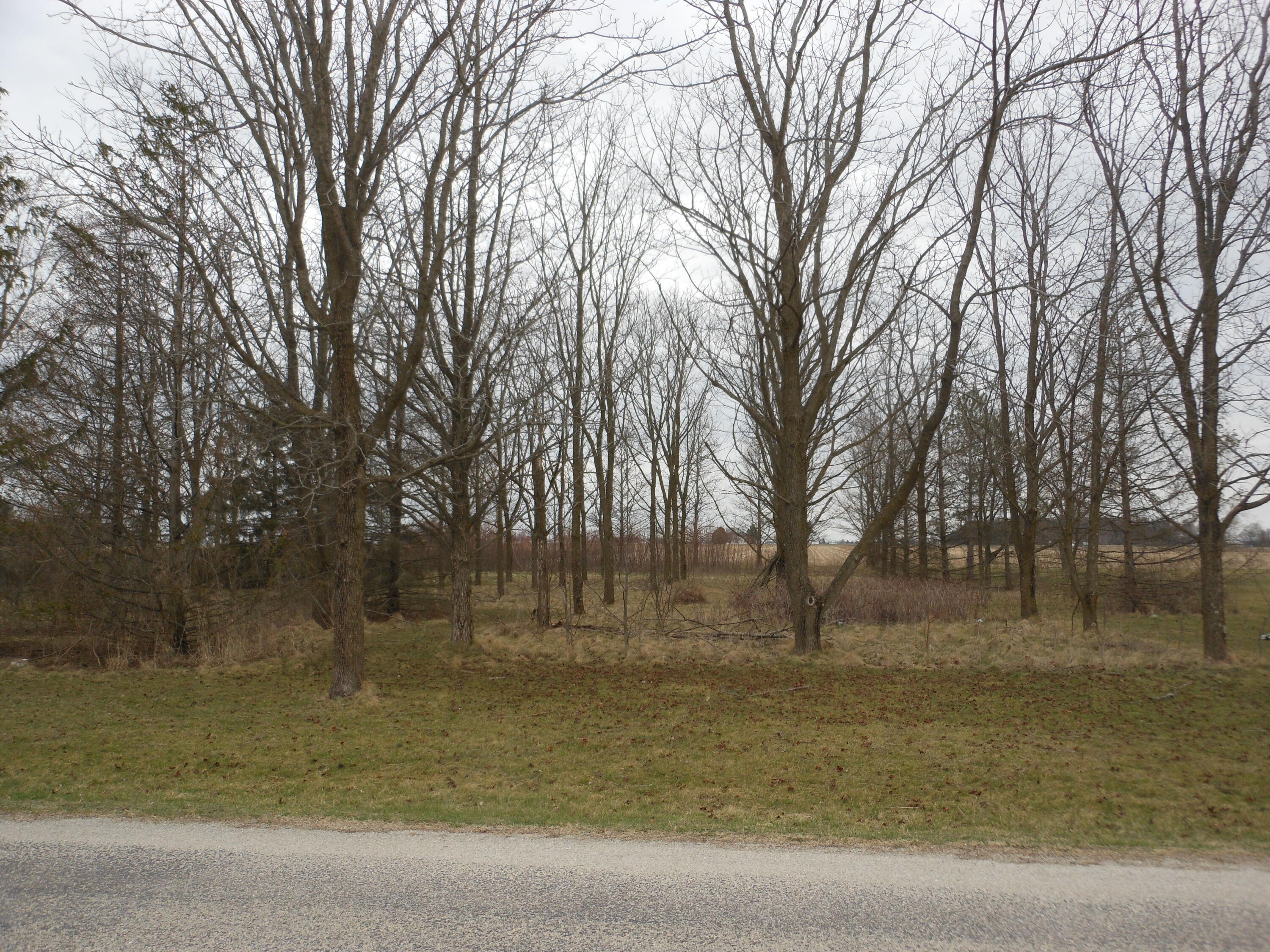 0 Furlong Road, Laura, Ohio 45337