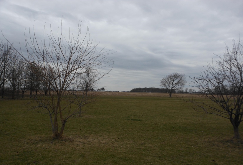 DSCN2339