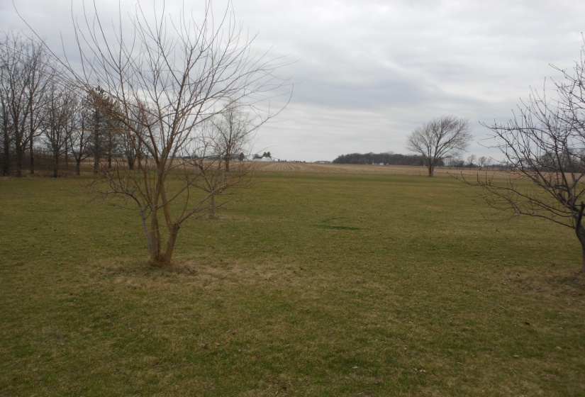 DSCN2340