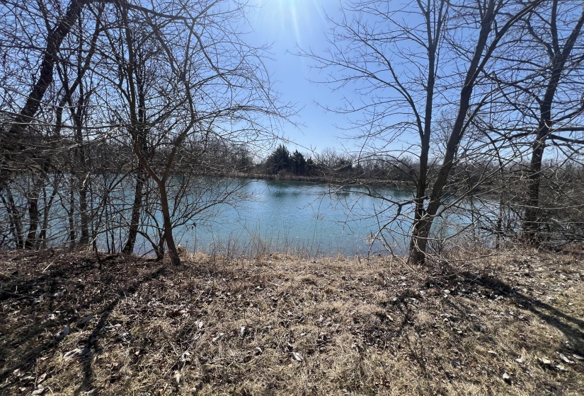 Pond