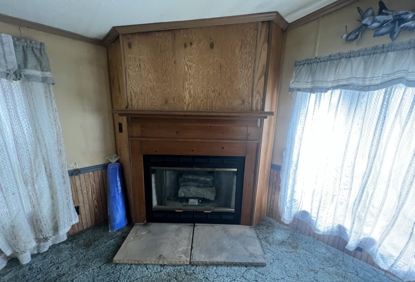 Gas Fireplace
