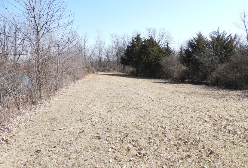 Walking Path