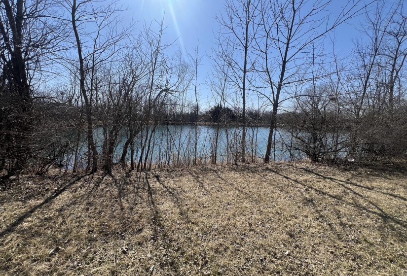 Pond