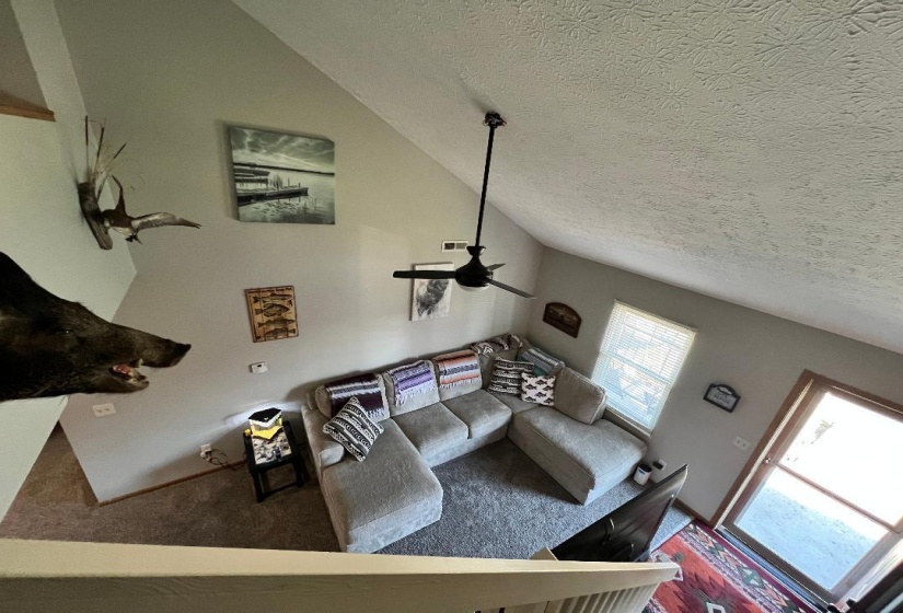 Vaulted view