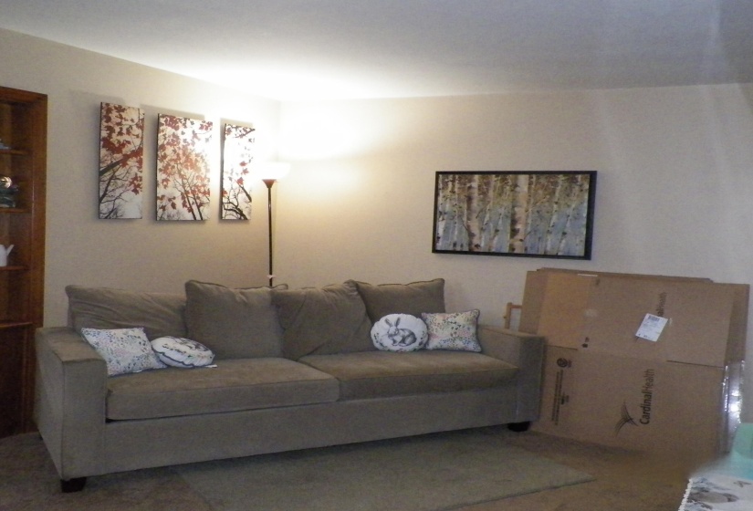 Living Room 1