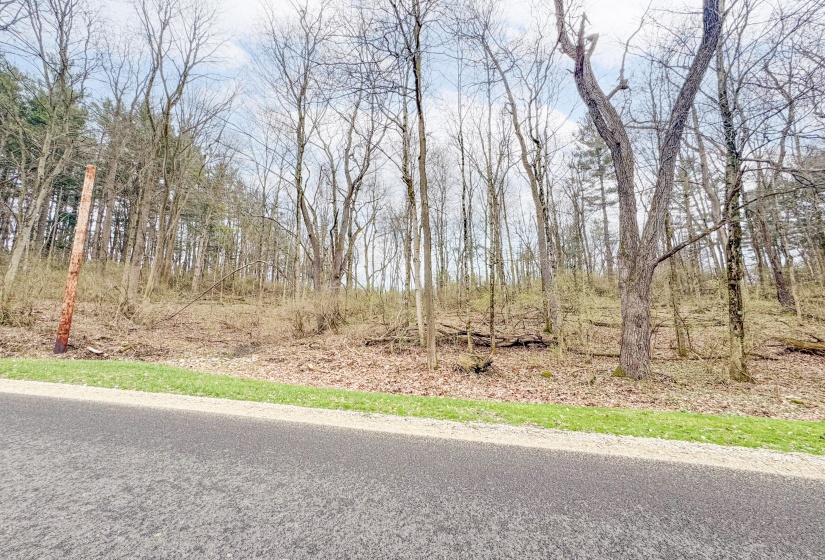 Children's Home Road - Wooded Lot-10