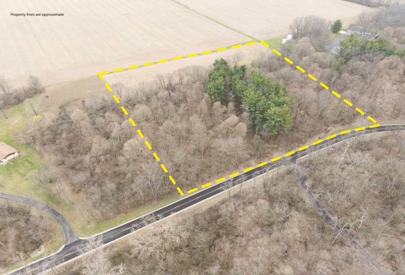 Children's Home Road - Wooded Lot-1