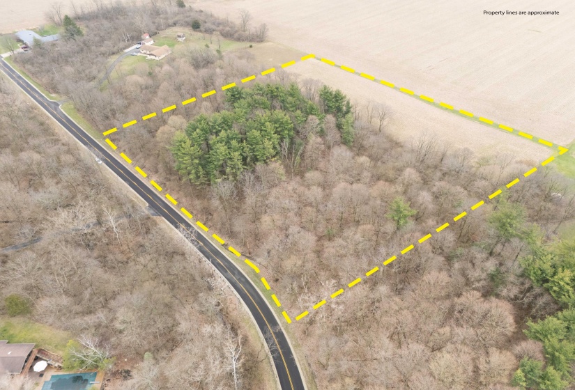 Children's Home Road - Wooded Lot-4