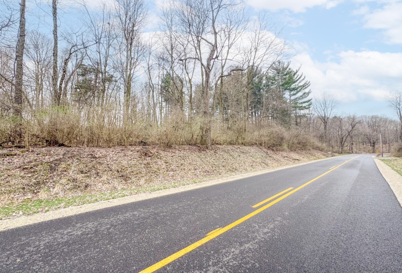 Children's Home Road - Wooded Lot-6