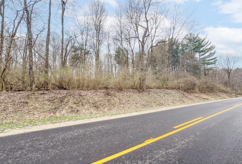 Children's Home Road - Wooded Lot-8