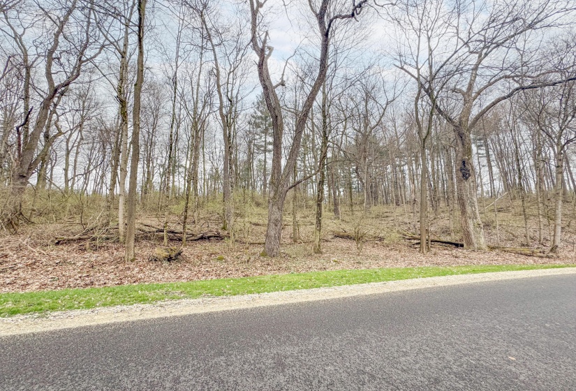 Children's Home Road - Wooded Lot-9